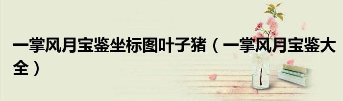 一掌风月宝鉴坐标图叶子猪(一掌风月宝鉴大全)