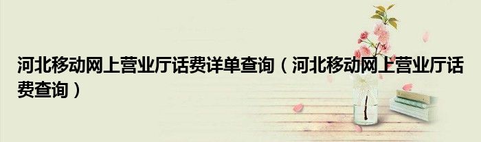 河北移动网上营业厅话费详单查询(河北移动网上营业厅话费查询)