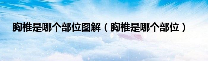 胸椎是哪个部位图解(胸椎是哪个部位)