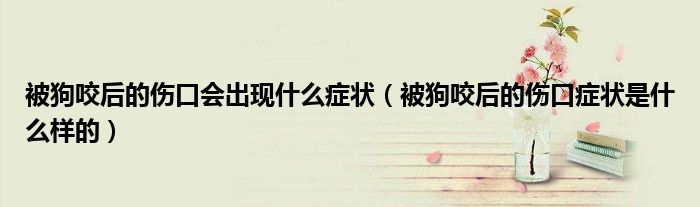 被狗咬后的伤口会出现什么症状(被狗咬后的伤口症状是什么样的)