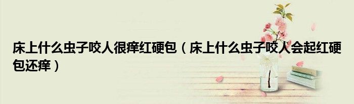 床上什么虫子咬人很痒红硬包(床上什么虫子咬人会起红硬包还痒)