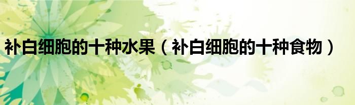 补白细胞的十种水果(补白细胞的十种食物)
