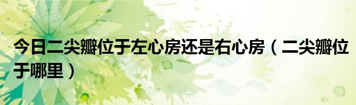 今日二尖瓣位于左心房还是右心房(二尖瓣位于哪里)