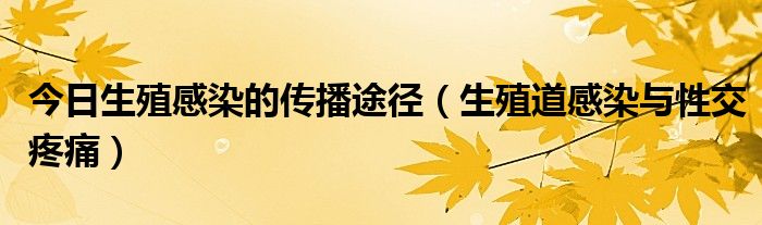 今日生殖感染的传播途径(生殖道感染与性交疼痛)