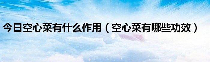 今日空心菜有什么作用(空心菜有哪些功效)