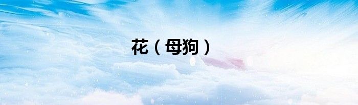 花（母狗）