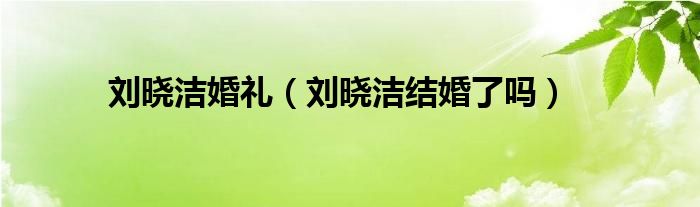 刘晓洁婚礼(刘晓洁结婚了吗)