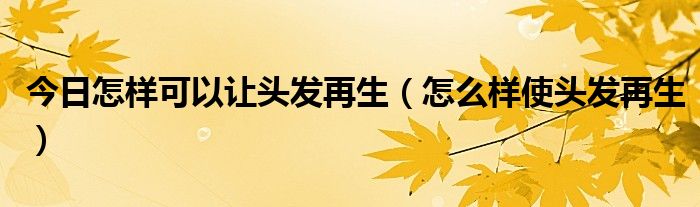 今日怎样可以让头发再生(怎么样使头发再生)