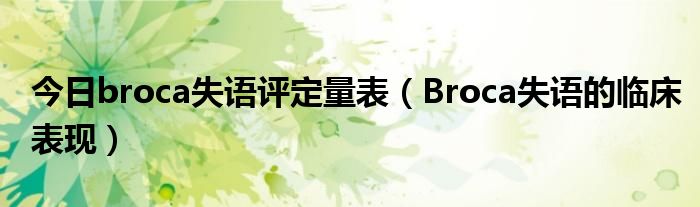 今日broca失语评定量表(Broca失语的临床表现)