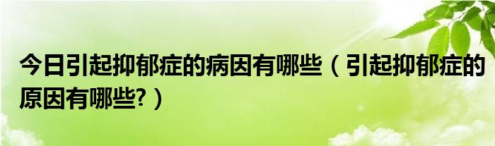 今日引起抑郁症的病因有哪些(引起抑郁症的原因有哪些?)