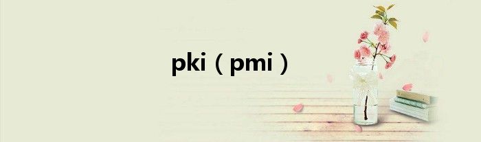 pki(pmi)
