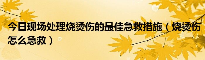 今日现场处理烧烫伤的最佳急救措施(烧烫伤怎么急救)
