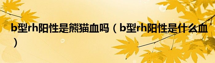 b型rh阳性是熊猫血吗(b型rh阳性是什么血)