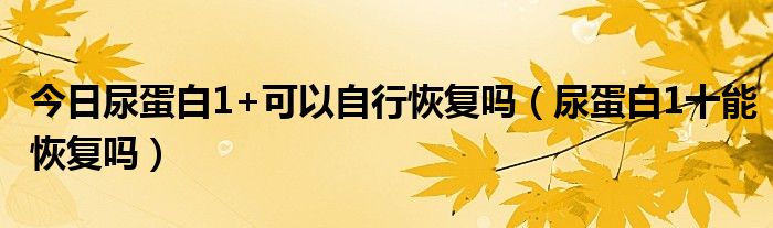 今日尿蛋白1+可以自行恢复吗(尿蛋白1十能恢复吗)