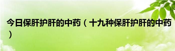 今日保肝护肝的中药(十九种保肝护肝的中药)