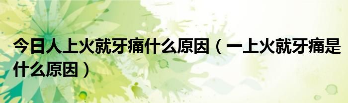 今日人上火就牙痛什么原因(一上火就牙痛是什么原因)
