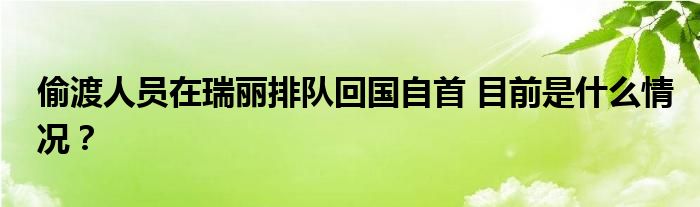 偷渡人员在瑞丽排队回国自首 目前是什么情况?