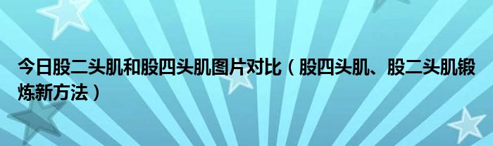 今日股二头肌和股四头肌图片对比(股四头肌、股二头肌锻炼新方法)