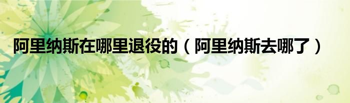 阿里纳斯在哪里退役的(阿里纳斯去哪了)