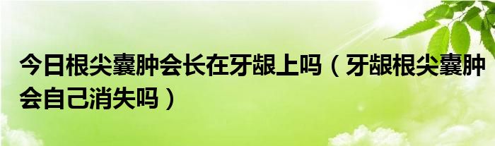 今日根尖囊肿会长在牙龈上吗(牙龈根尖囊肿会自己消失吗)
