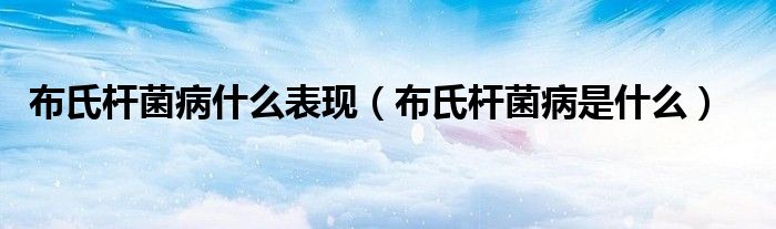 布氏杆菌病什么表现(布氏杆菌病是什么)