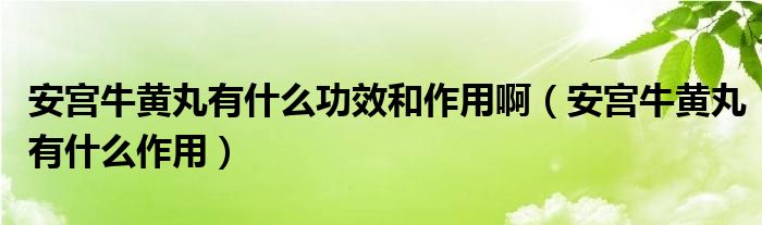安宫牛黄丸有什么功效和作用啊(安宫牛黄丸有什么作用)