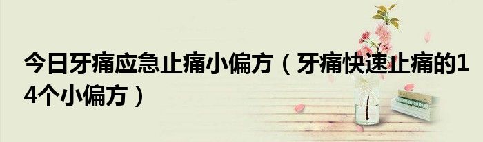 今日牙痛应急止痛小偏方(牙痛快速止痛的14个小偏方)