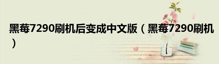黑莓7290刷机后变成中文版(黑莓7290刷机)