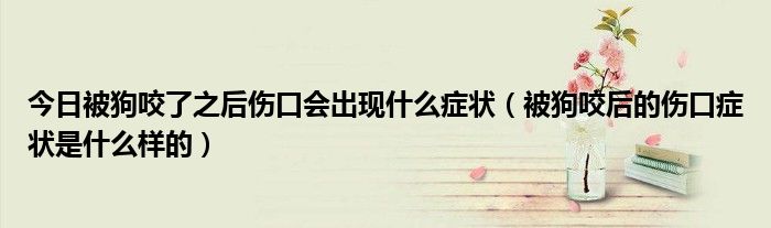 今日被狗咬了之后伤口会出现什么症状(被狗咬后的伤口症状是什么样的)