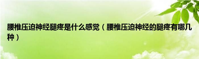 腰椎压迫神经腿疼是什么感觉(腰椎压迫神经的腿疼有哪几种)