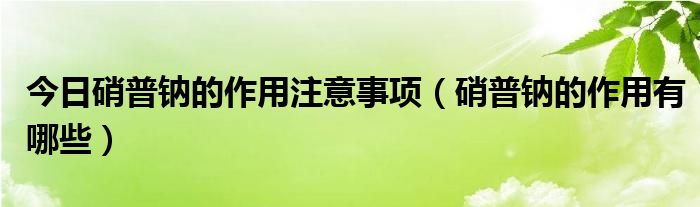今日硝普钠的作用注意事项(硝普钠的作用有哪些)