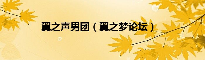 翼之声男团(翼之梦论坛)