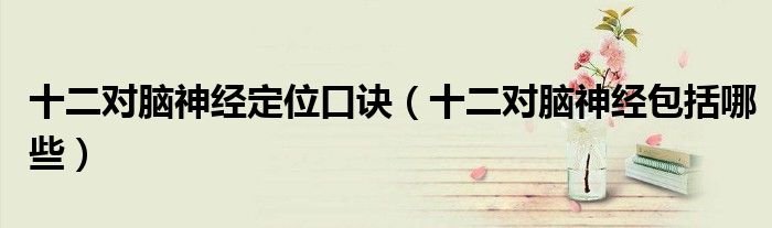 十二对脑神经定位口诀(十二对脑神经包括哪些)