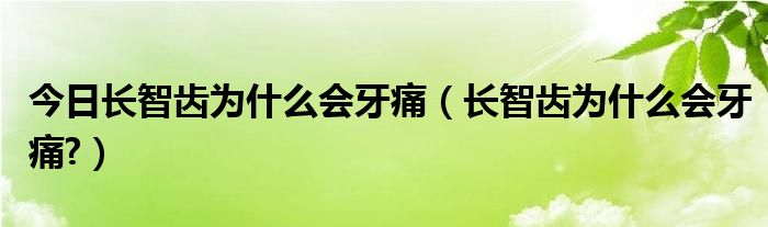今日长智齿为什么会牙痛(长智齿为什么会牙痛?)