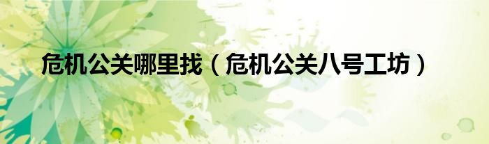危机公关哪里找(危机公关八号工坊)