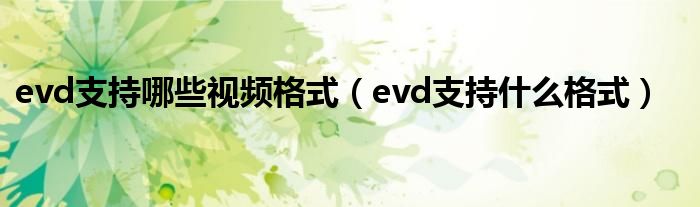 evd支持哪些视频格式(evd支持什么格式)