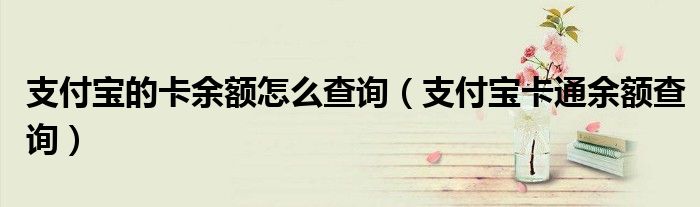 支付宝的卡余额怎么查询(支付宝卡通余额查询)