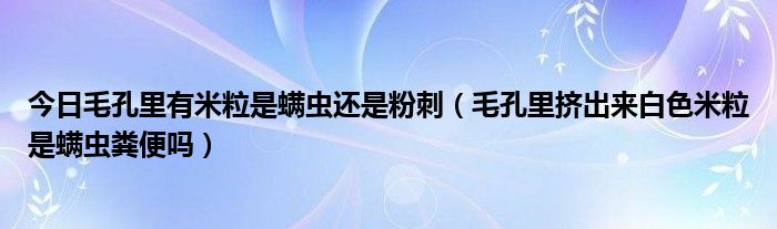 今日毛孔里有米粒是螨虫还是粉刺(毛孔里挤出来白色米粒是螨虫粪便吗)