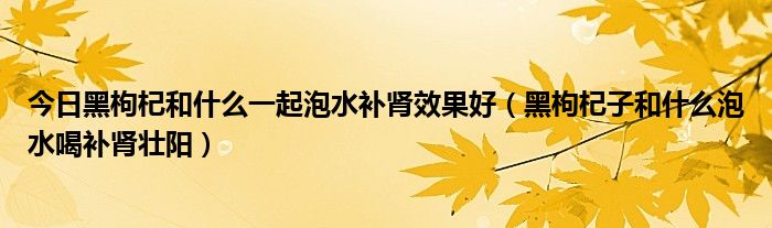 今日黑枸杞和什么一起泡水补肾效果好(黑枸杞子和什么泡水喝补肾壮阳)