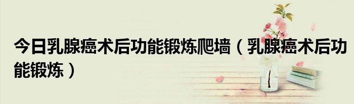 今日乳腺癌术后功能锻炼爬墙(乳腺癌术后功能锻炼)