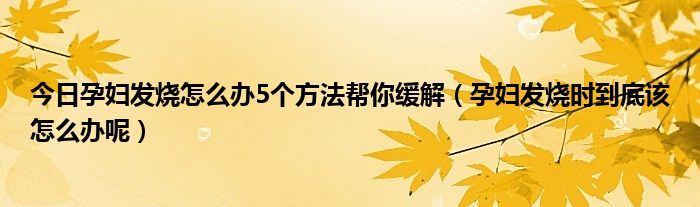 今日孕妇发烧怎么办5个方法帮你缓解(孕妇发烧时到底该怎么办呢)