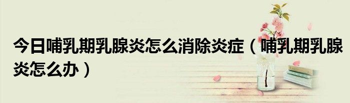 今日哺乳期乳腺炎怎么消除炎症(哺乳期乳腺炎怎么办)