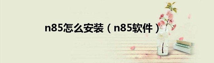 n85怎么安装(n85软件)