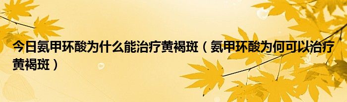 今日氨甲环酸为什么能治疗黄褐斑（氨甲环酸为何可以治疗黄褐斑）