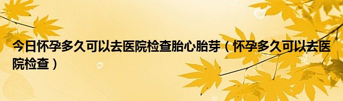 今日怀孕多久可以去医院检查胎心胎芽(怀孕多久可以去医院检查)