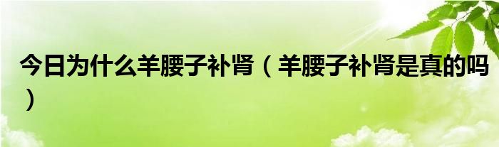 今日为什么羊腰子补肾(羊腰子补肾是真的吗)