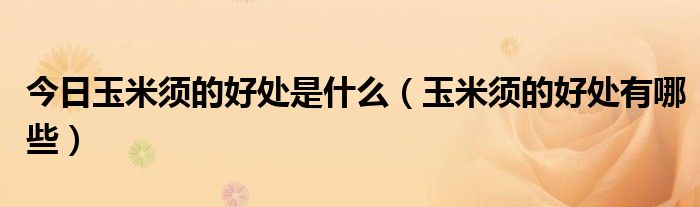 今日玉米须的好处是什么(玉米须的好处有哪些)