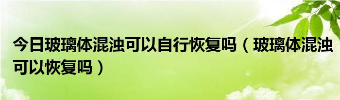 今日玻璃体混浊可以自行恢复吗(玻璃体混浊可以恢复吗)