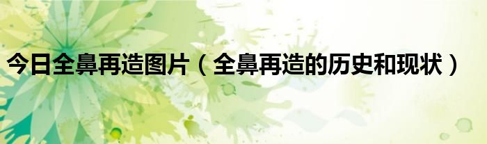 今日全鼻再造图片(全鼻再造的历史和现状)