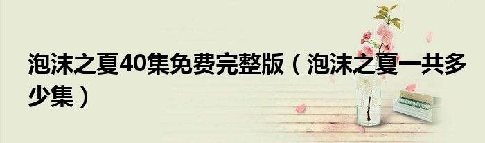 泡沫之夏40集免费完整版(泡沫之夏一共多少集)